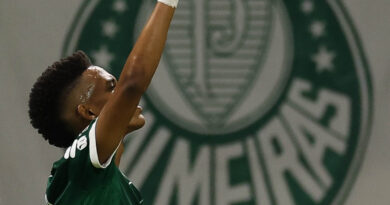 Atacante Estêvão comemora gol apontando para o céu com o escudo do Palmeiras ao fundo