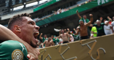 O atacante Paulinho vibra com o gol marcado na vitória do Palmeiras sobre o Botafogo no Mundial de Clubes da FIFA