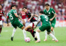 Flamengo x Palmeiras: rivalidade a toda prova e tabu mantido no Brasileirão