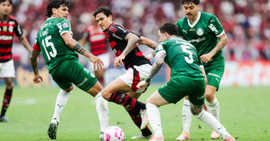 Flamengo x Palmeiras: rivalidade a toda prova e tabu mantido no Brasileirão
