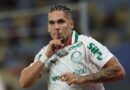 Palmeiras atinge sua melhor campanha na história do primeiro turno dos pontos corridos