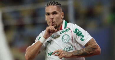 Palmeiras atinge sua melhor campanha na história do primeiro turno dos pontos corridos