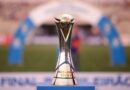 Troféu do Campeonato Brasileiro Série D